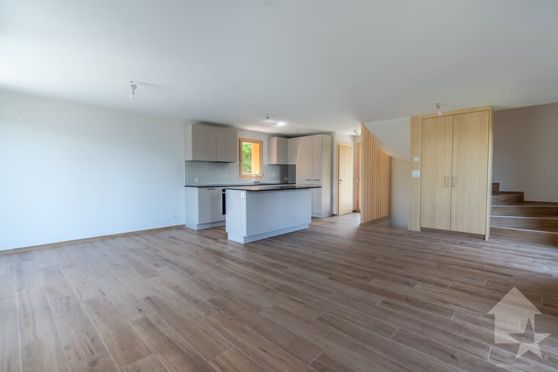 A 20 minutes de Monthey chalet NEUF disponible de suite et garanti (4)