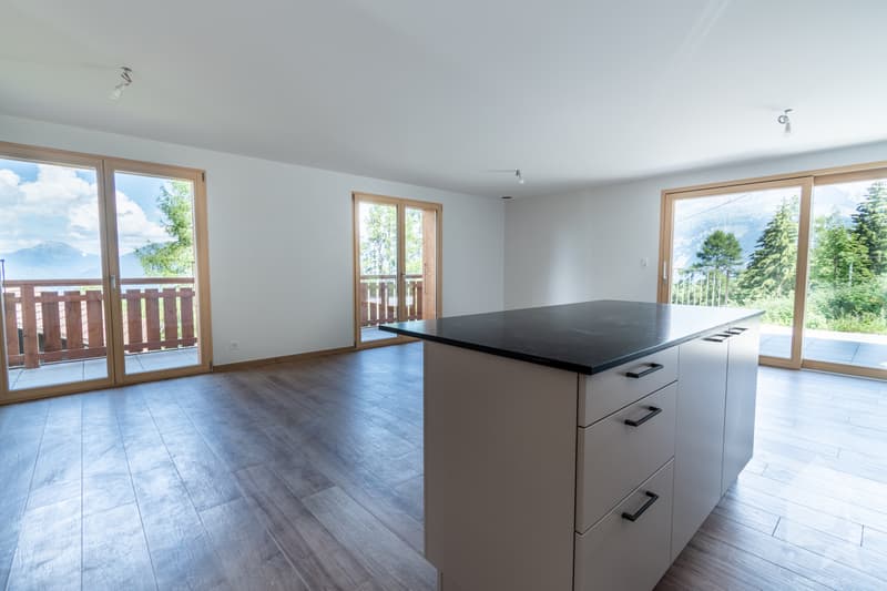 A 20 minutes de Monthey chalet NEUF disponible de suite et garanti (3)