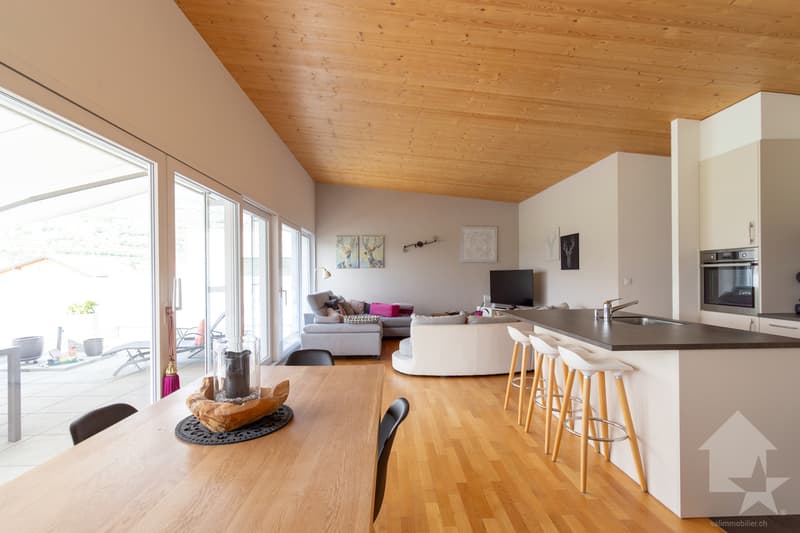 Charmant attique 5.5 pièces avec terrasse (3)
