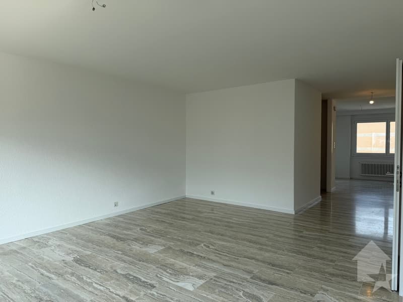 Bel appartement 4.5 pièces, situé à proximité des commodités (2)