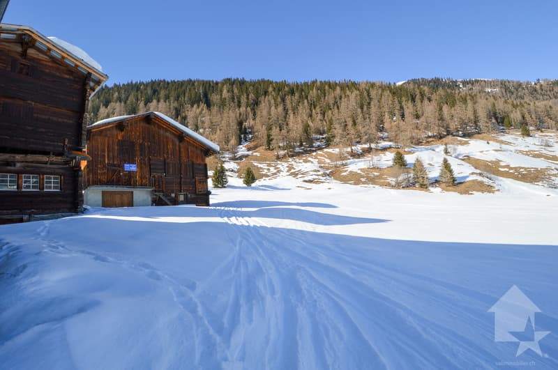 Parcelle à bâtir à Gluringen - Votre rêve d'une maison dans les Alpes! (12)