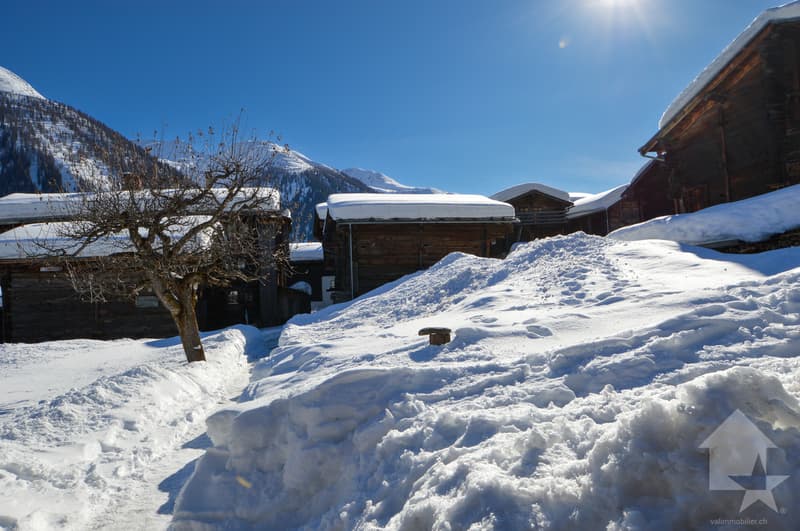 Parcelle à bâtir à Gluringen - Votre rêve d'une maison dans les Alpes! (13)