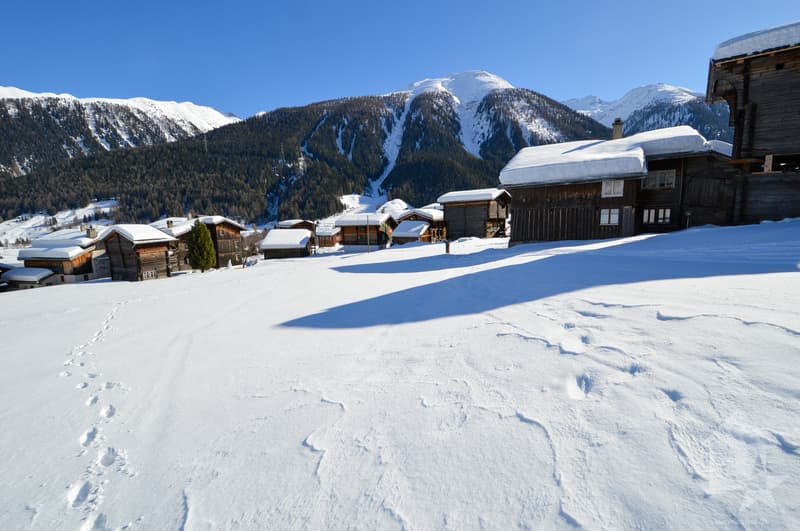 Parcelle à bâtir à Gluringen - Votre rêve d'une maison dans les Alpes! (8)