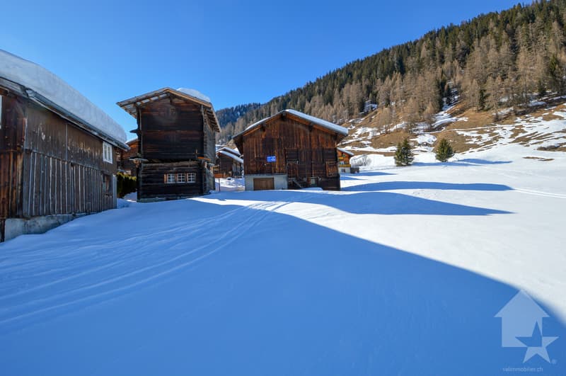 Parcelle à bâtir à Gluringen - Votre rêve d'une maison dans les Alpes! (5)