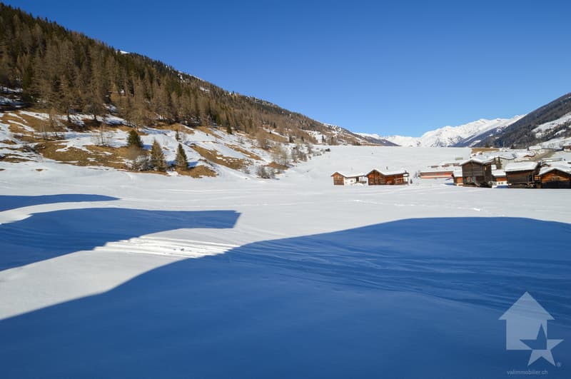Parcelle à bâtir à Gluringen - Votre rêve d'une maison dans les Alpes! (11)