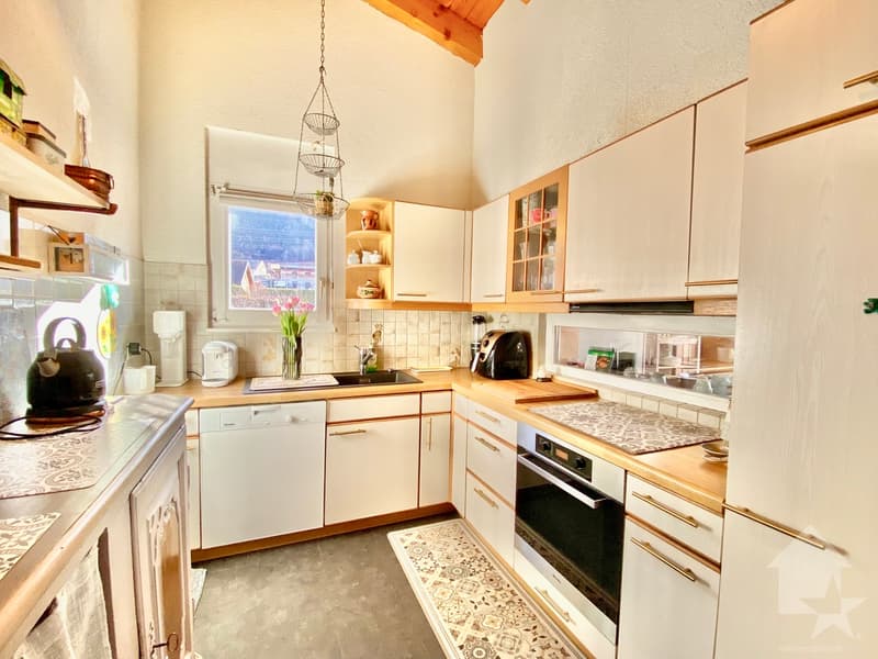 Spacieux attique au calme, parking, terrasse de 105 m2 et vue ! (11)