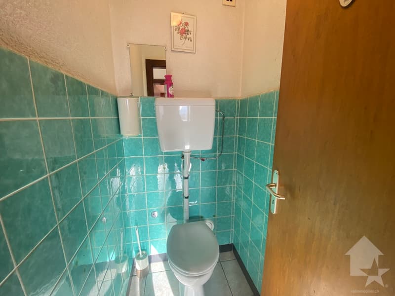 Jolie maison individuelle sur une belle parcelle de 725 m2 ! (13)