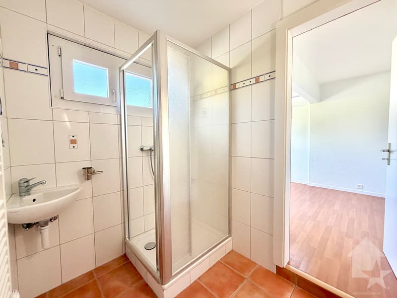 Appartement traversant de 115 m2, garage box, parc, cave et galetas ! (11)
