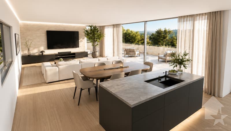 Magnifique projet d'attique de 215 m2, garage double et terrasses ! (2)