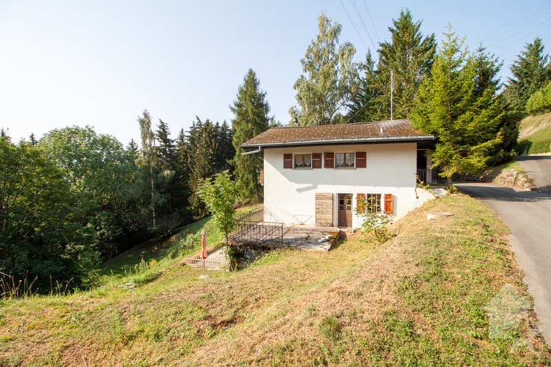 Appartement dans un petit chalet sur les Mayens de Conthey (2)