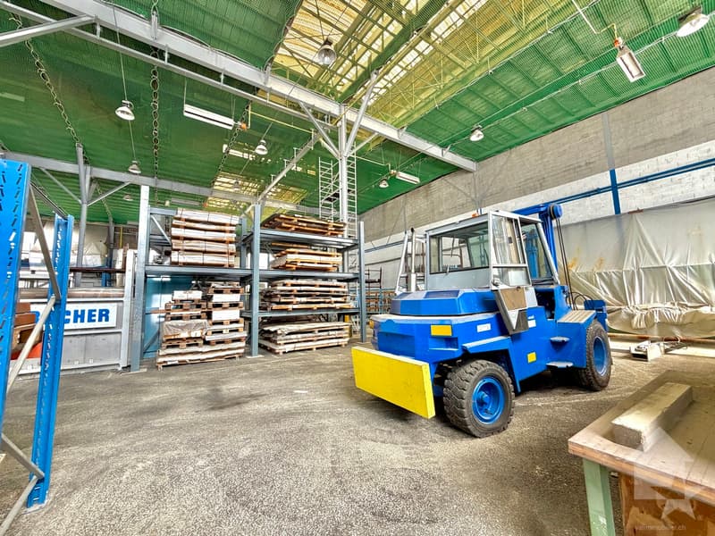 Halle industrielle de 20'500 m3 et de 2'130 m2 avec accès sécurisé (5)