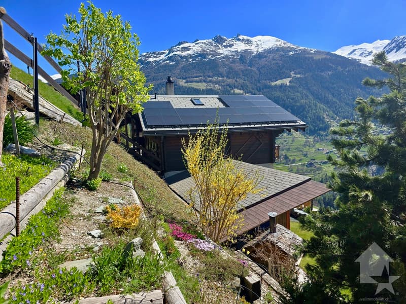 Magnifique chalet avec 2 places de parc extérieures (13)