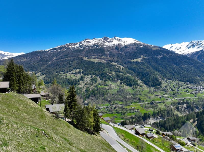Magnifique chalet avec 2 places de parc extérieures (10)