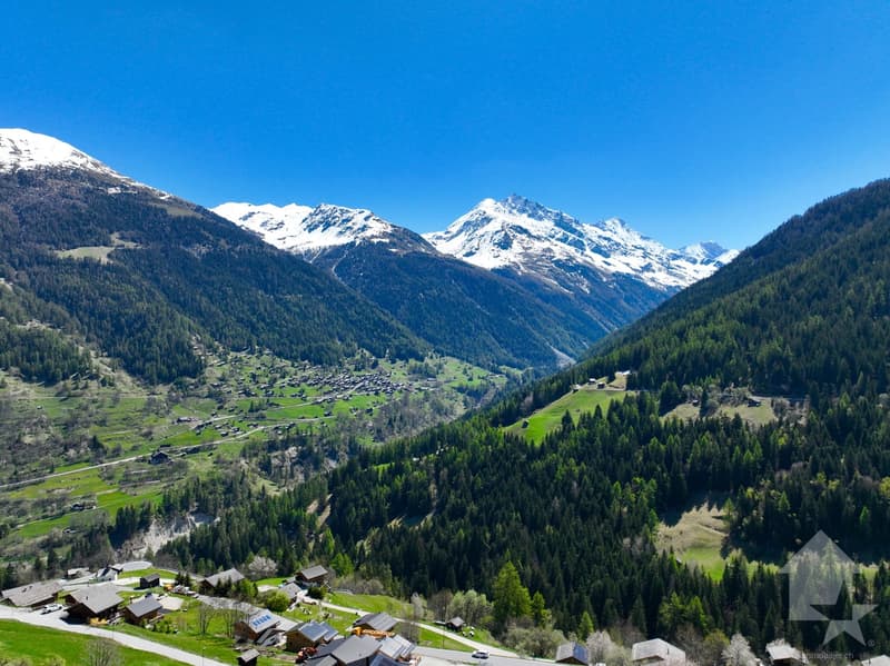 Magnifique chalet avec 2 places de parc extérieures (11)
