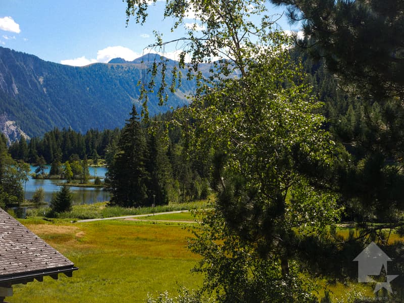 Vue sur le lac et les marais