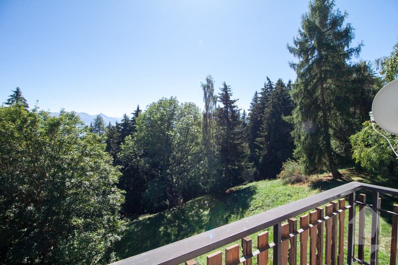 Appartement dans un petit chalet aux Mayens de Conthey (9)