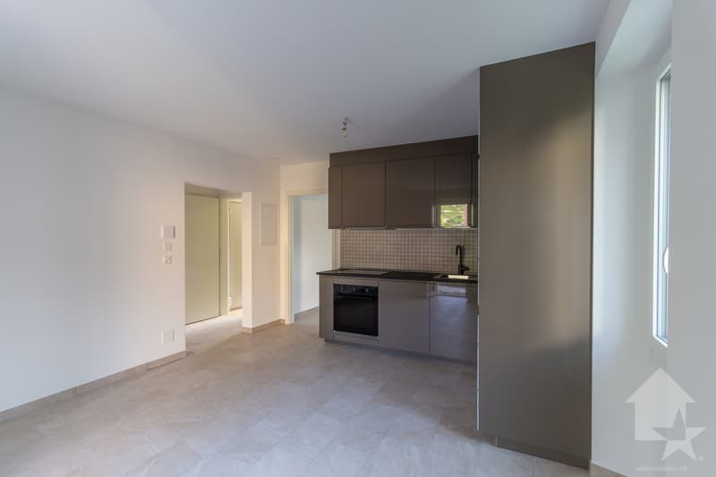Bâtiment de trois appartements entièrement rénové avec goût (10)