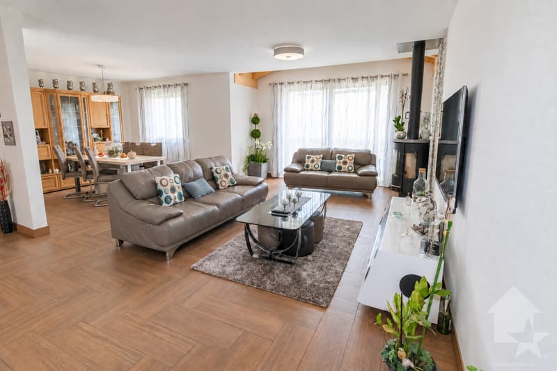 Magnifique villa de 4.5 pièces avec garage (5)