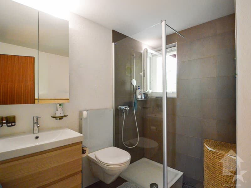 Appartement pratique de 4.5 pièces avec garage (12)