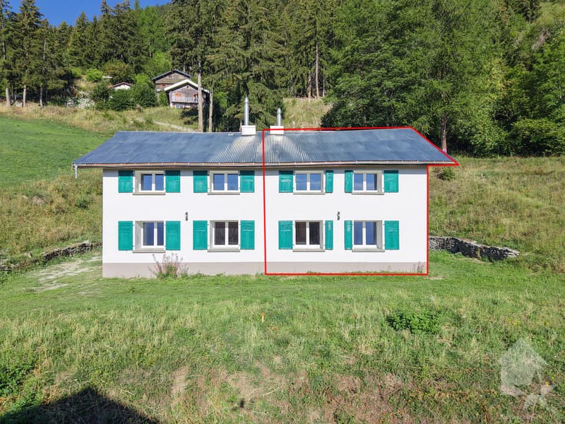 Maison mitoyenne refaite à neuf : calme, vue et ensoleillée (2)