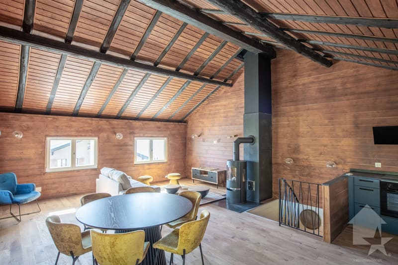 Maison mitoyenne refaite à neuf : calme, vue et ensoleillée (9)