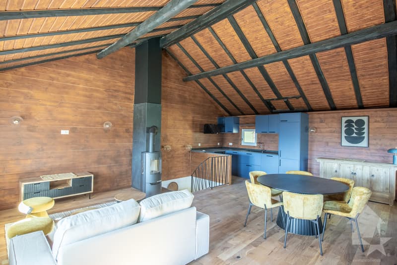 Maison mitoyenne refaite à neuf : calme, vue et ensoleillée (6)