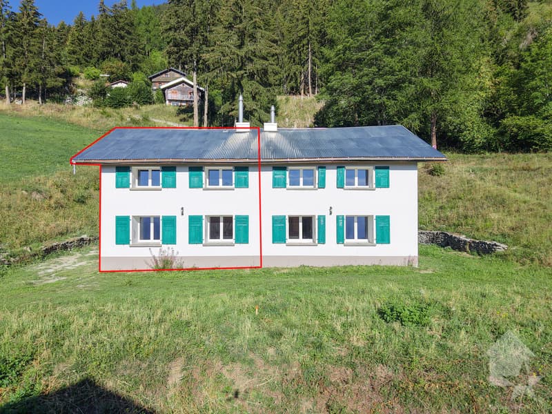Maison mitoyenne refaite à neuf : calme, vue et ensoleillée (3)