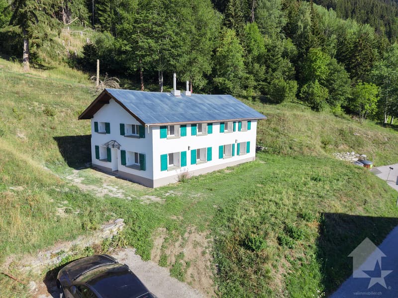 Maison mitoyenne refaite à neuf : calme, vue et ensoleillée (3)