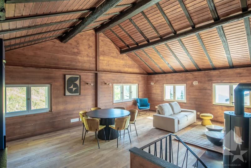 Maison mitoyenne refaite à neuf : calme, vue et ensoleillée (10)