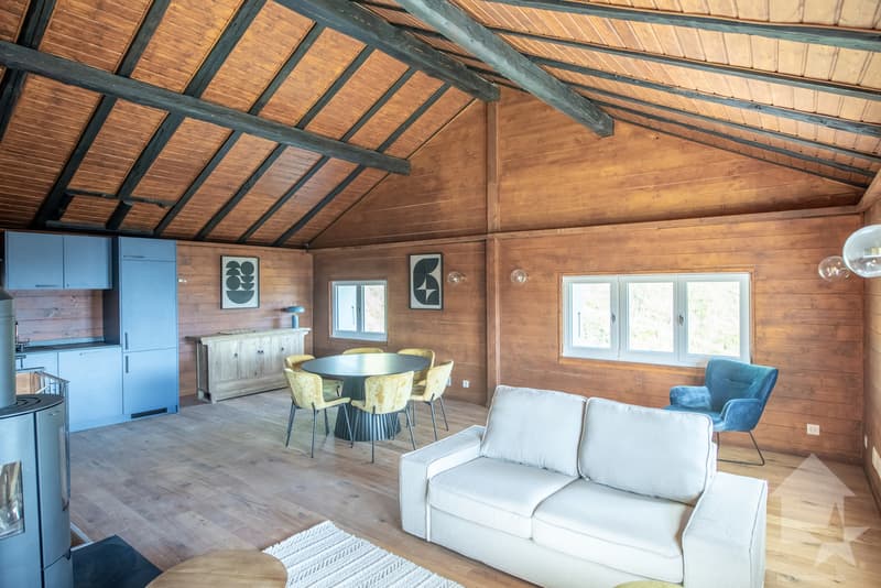 Maison mitoyenne refaite à neuf : calme, vue et ensoleillée (9)