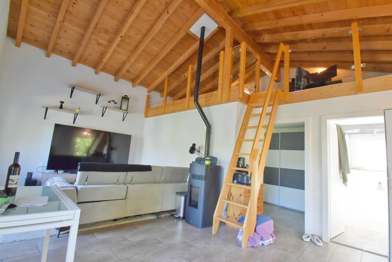 Magnifique petite maison rénové et au calme sur une belle parcelle (6)