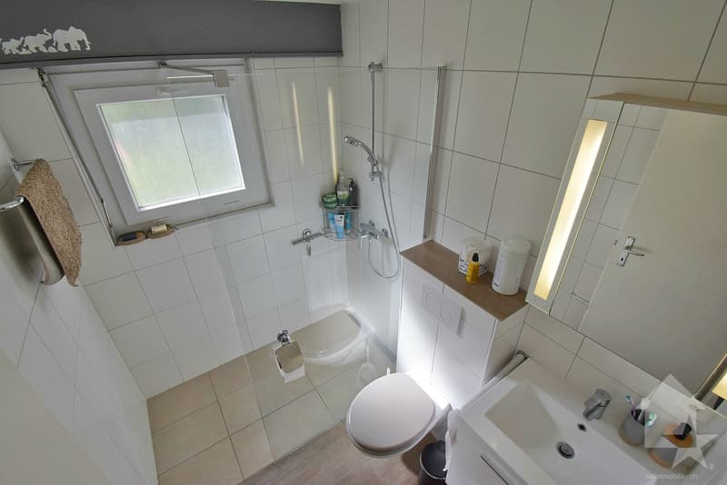 Magnifique petite maison rénové et au calme sur une belle parcelle (12)