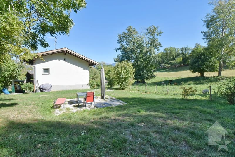 Magnifique petite maison rénové et au calme sur une belle parcelle (2)