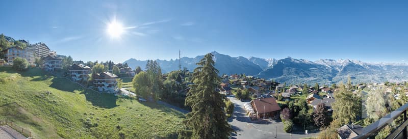 Spacieux attique en duplex de 7.5 pièces, 175 m², 4 salles de bains (4)