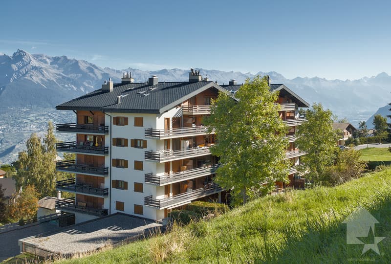 Spacieux attique en duplex de 7.5 pièces, 175 m², 4 salles de bains (1)