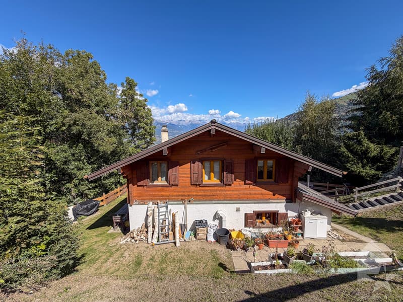 Charmant chalet de 4.5 pièces, emplacement bucolique (2)