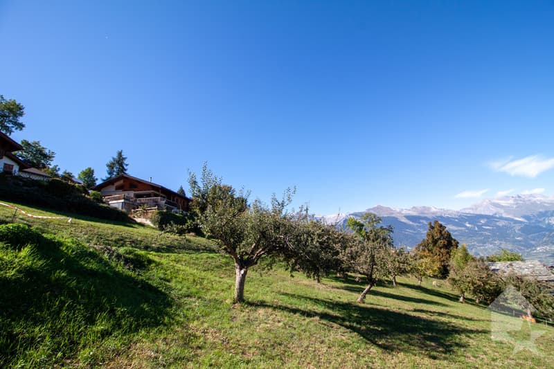 Chalet de 146 m2 à construire sur un terrain de 1000 m2 (5)