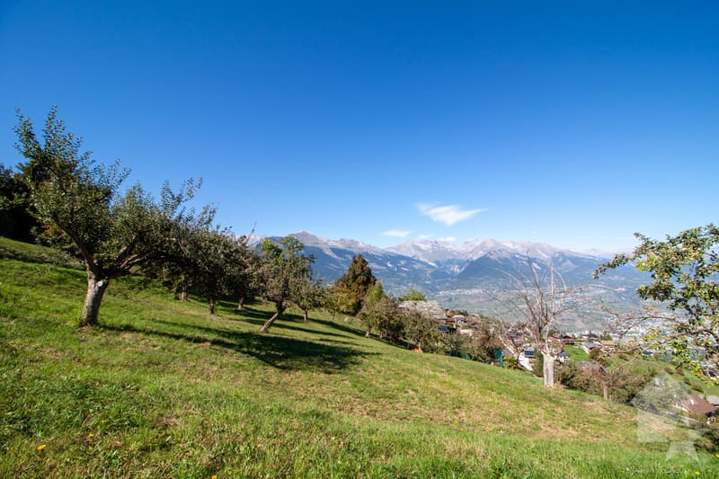Chalet de 146 m2 à construire sur un terrain de 1000 m2 (4)