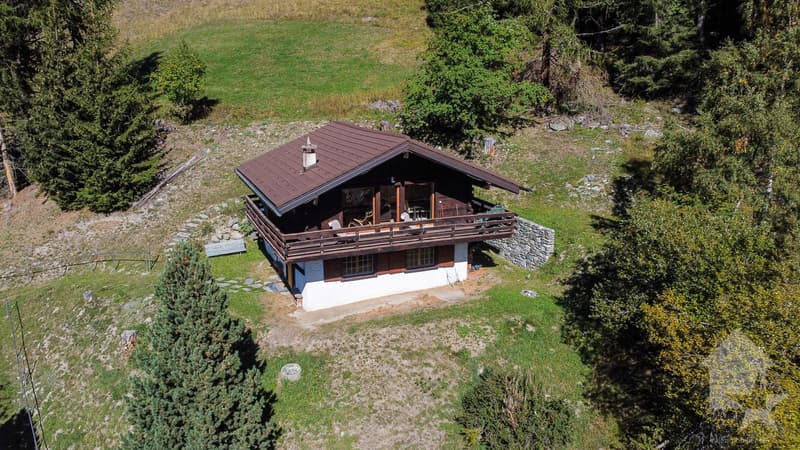 Séduisant chalet entouré de nature avec vues magnifiques (1)