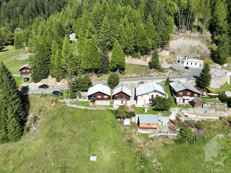Charmant mayen 3.5p, cadre verdoyant, calme, vue & ensoleillement top (6)