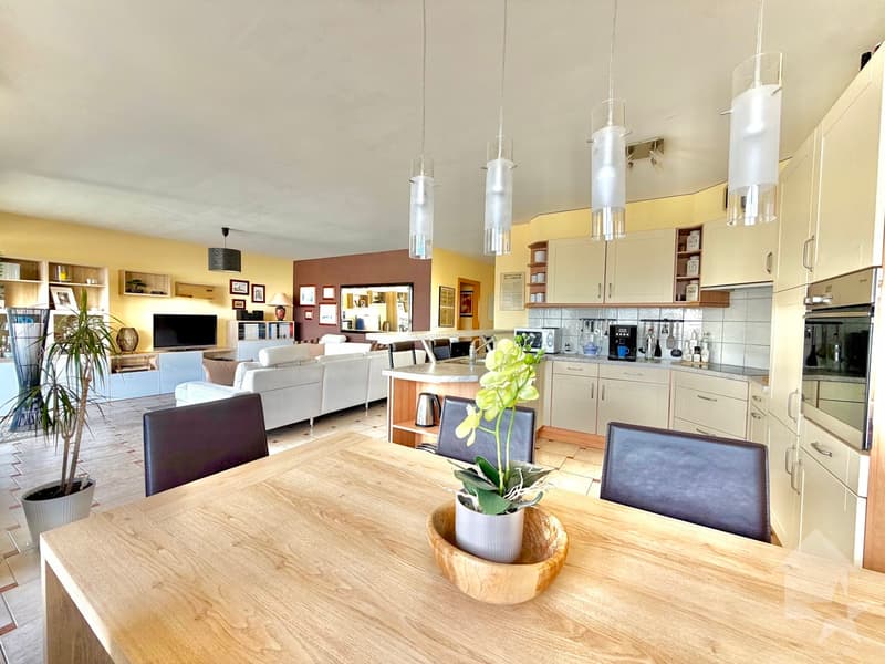 Bel appartement en terrasse avec un garage et une vue exceptionnelle ! (9)