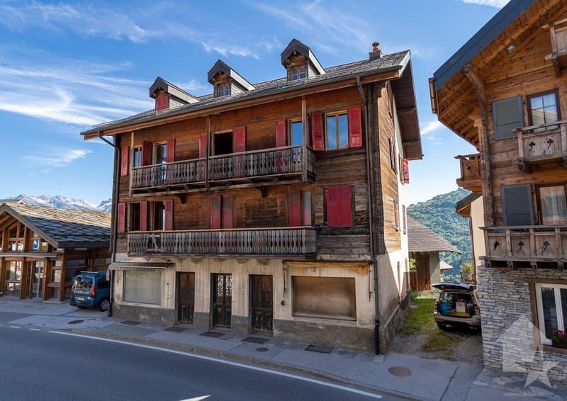 Maison villageoise à rénover, 10 pièces + locaux commerciaux, 400 m2 (1)