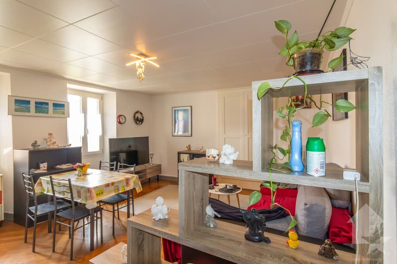 Résidence de caractère de 3 appartements avec situation idéale (8)