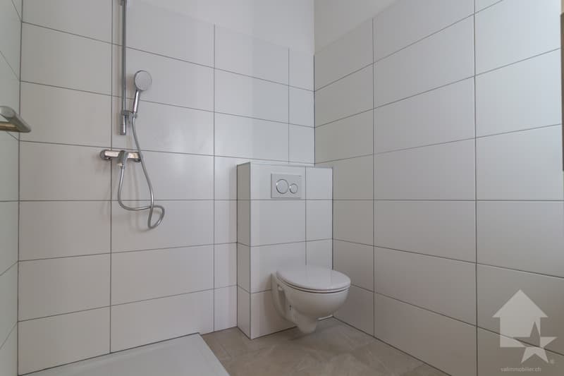 Attique de 3.5 pièces en duplex rénové avec balcon et vue magnifique (12)
