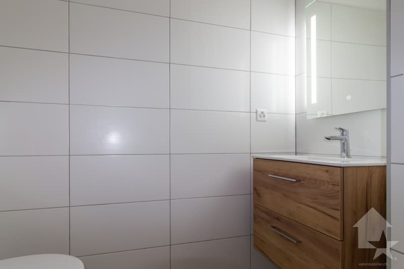 Attique de 3.5 pièces en duplex rénové avec balcon et vue magnifique (11)