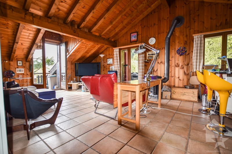 Appartement avec situation exceptionnelle (4)