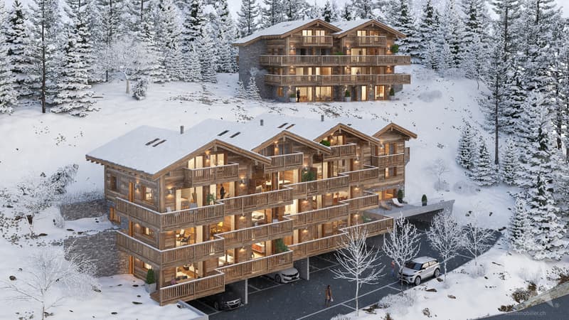 Unique à St-Luc : splendide duplex neuf sous combles tout confort (3)