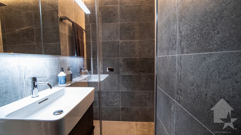 Unique à St-Luc : splendide duplex neuf sous combles tout confort (4)