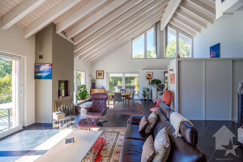 Splendide propriété avec villa 7.5 pièces de 319 m2 habitables (4)