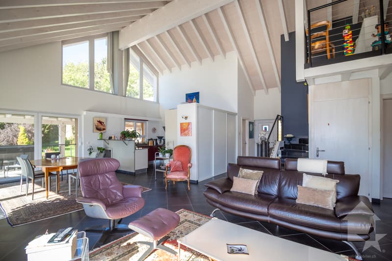 Splendide propriété avec villa 7.5 pièces de 319 m2 habitables (5)